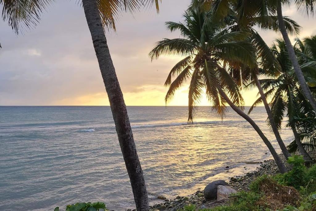Seaside Serenity Suite Умакао Экстерьер фото