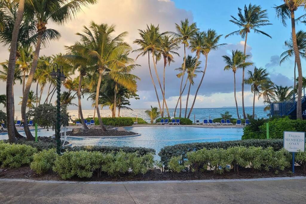 Seaside Serenity Suite Умакао Экстерьер фото
